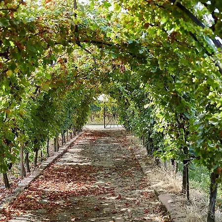 شقة Weingut Stefan Meyer