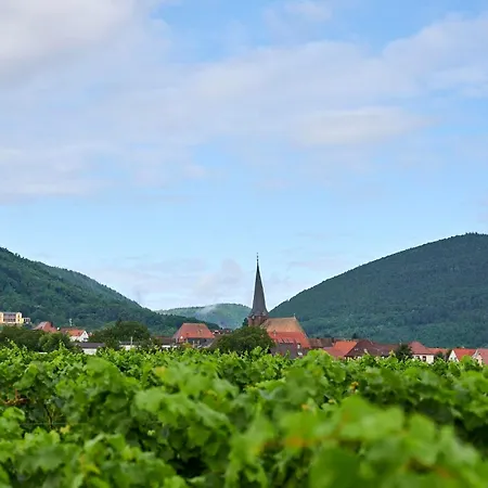 شقة Weingut Stefan Meyer