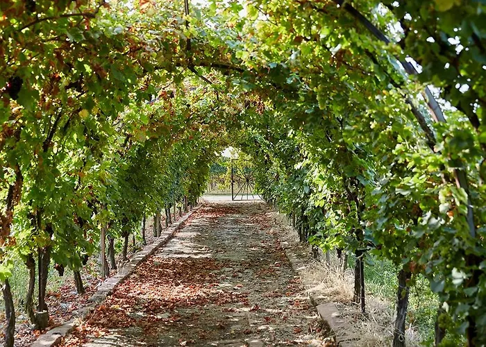 Apartamento Weingut Stefan Meyer