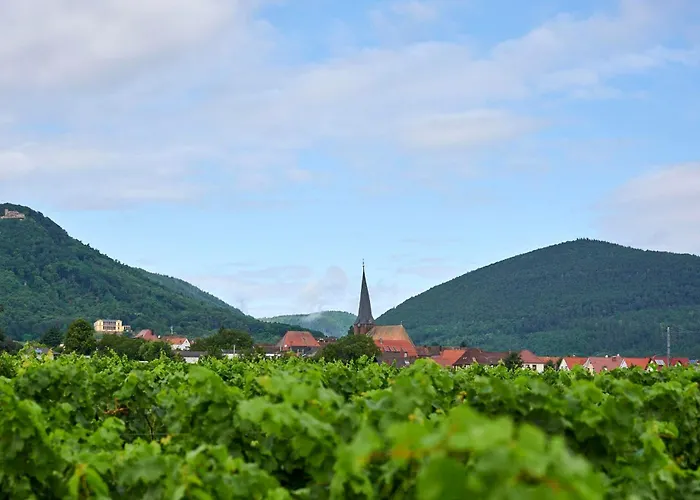Apartment Weingut Stefan Meyer